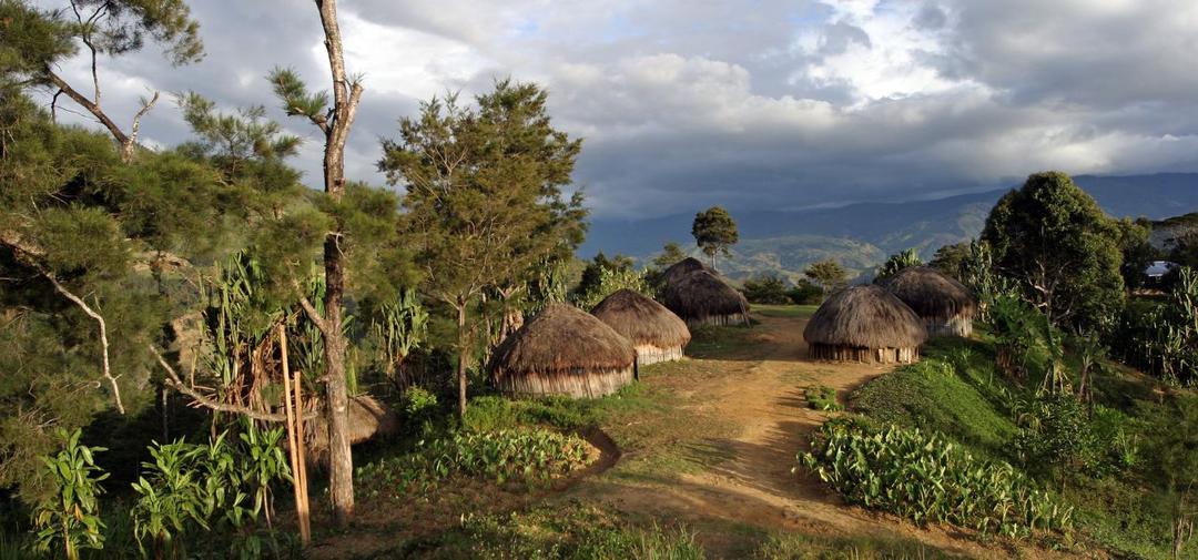 Papua New Guinea