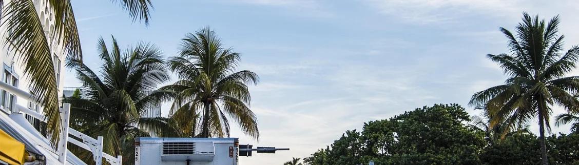 Tropical Miami skyline with swaying palm trees and modern white buildings under cloudy blue sky
