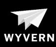 WYVERN aviation safety certification logo featuring stylized aircraft silhouette in gray