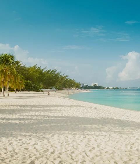 Pristine white sand beach with swaying palm trees and turquoise waters in Grand Cayman, Caribbean