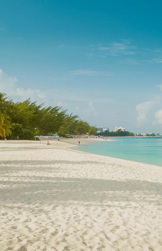 Pristine white sand beach with swaying palm trees and turquoise waters in Grand Cayman, Caribbean
